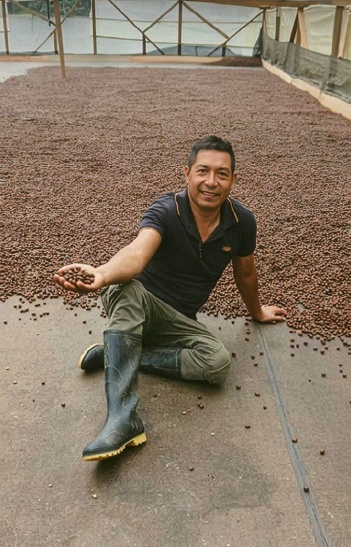 Man in rubber boots holding coffee beans in a coffee drying area
